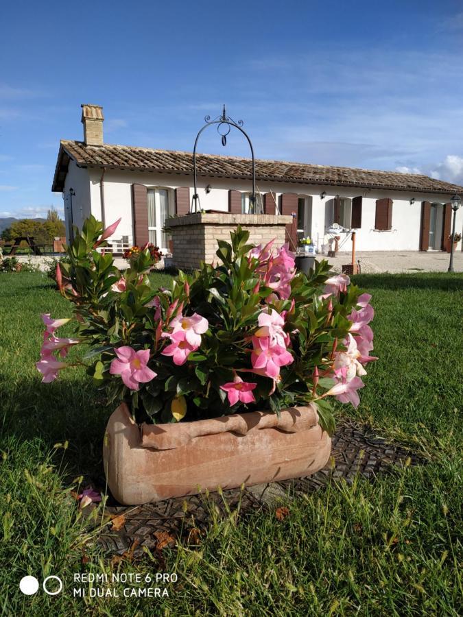 Agriturismo " Le Serre" Villa Spello Buitenkant foto